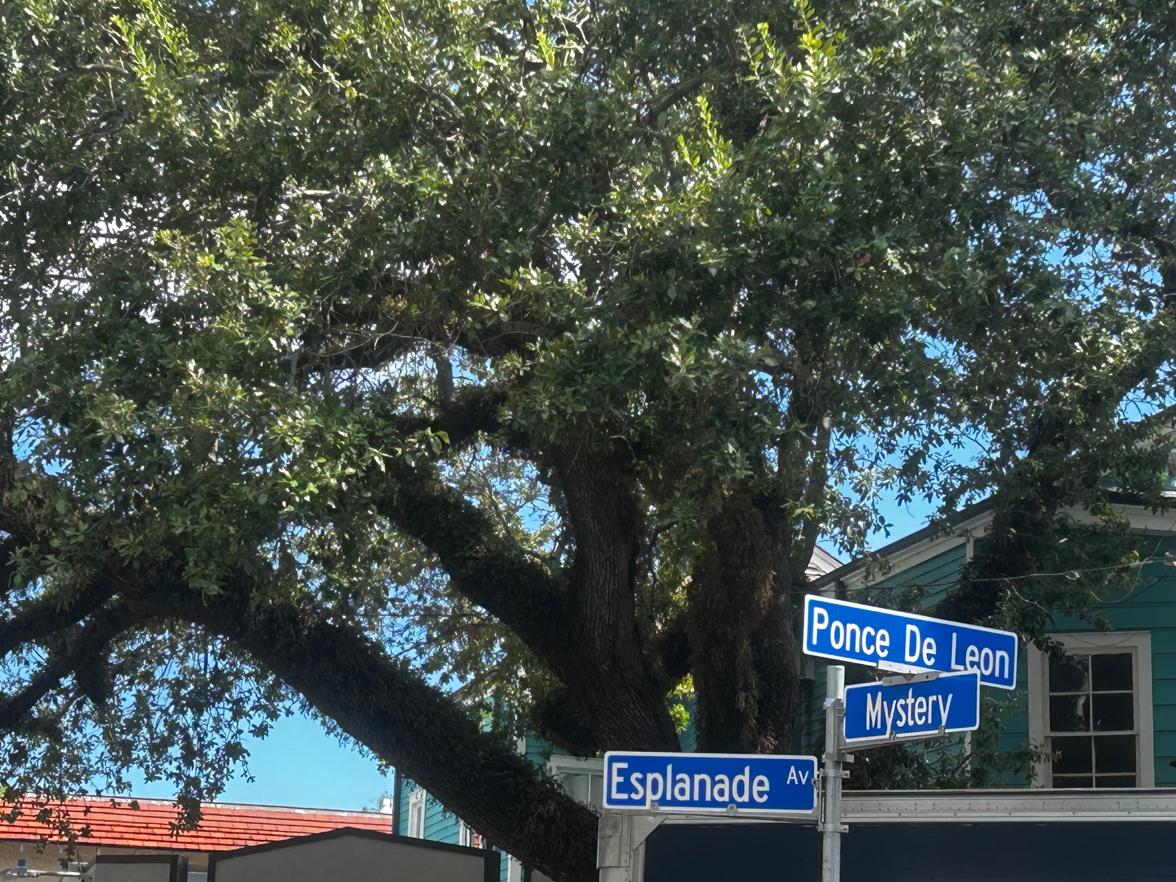 A large tree shades a street corner sign for Ponce De Leon and Mystery, alongside Esplanade Avenue.