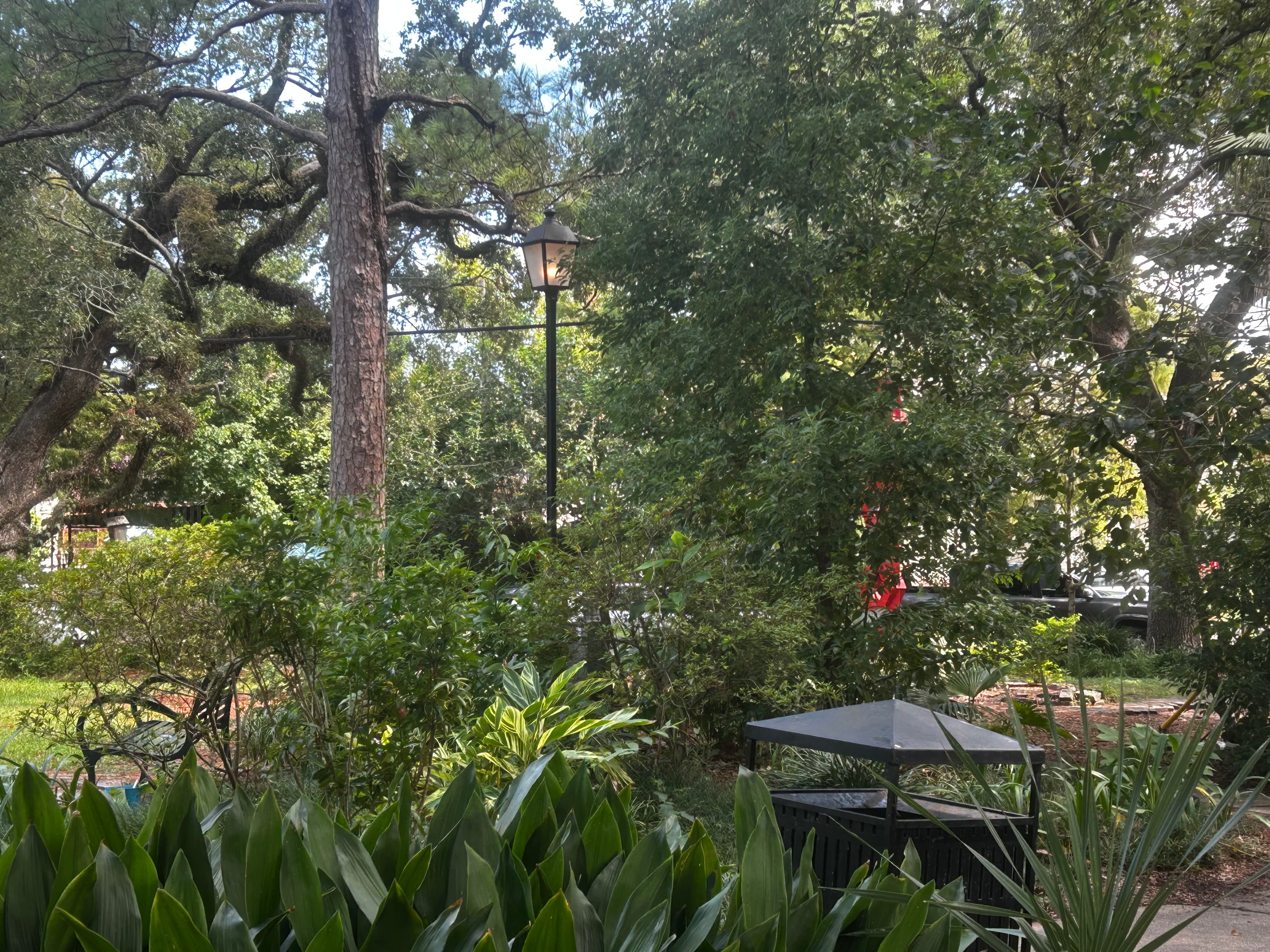 Lush garden view featuring greenery, tall trees, and a lantern. Lush garden view featuring greenery, tall trees, and a lantern.