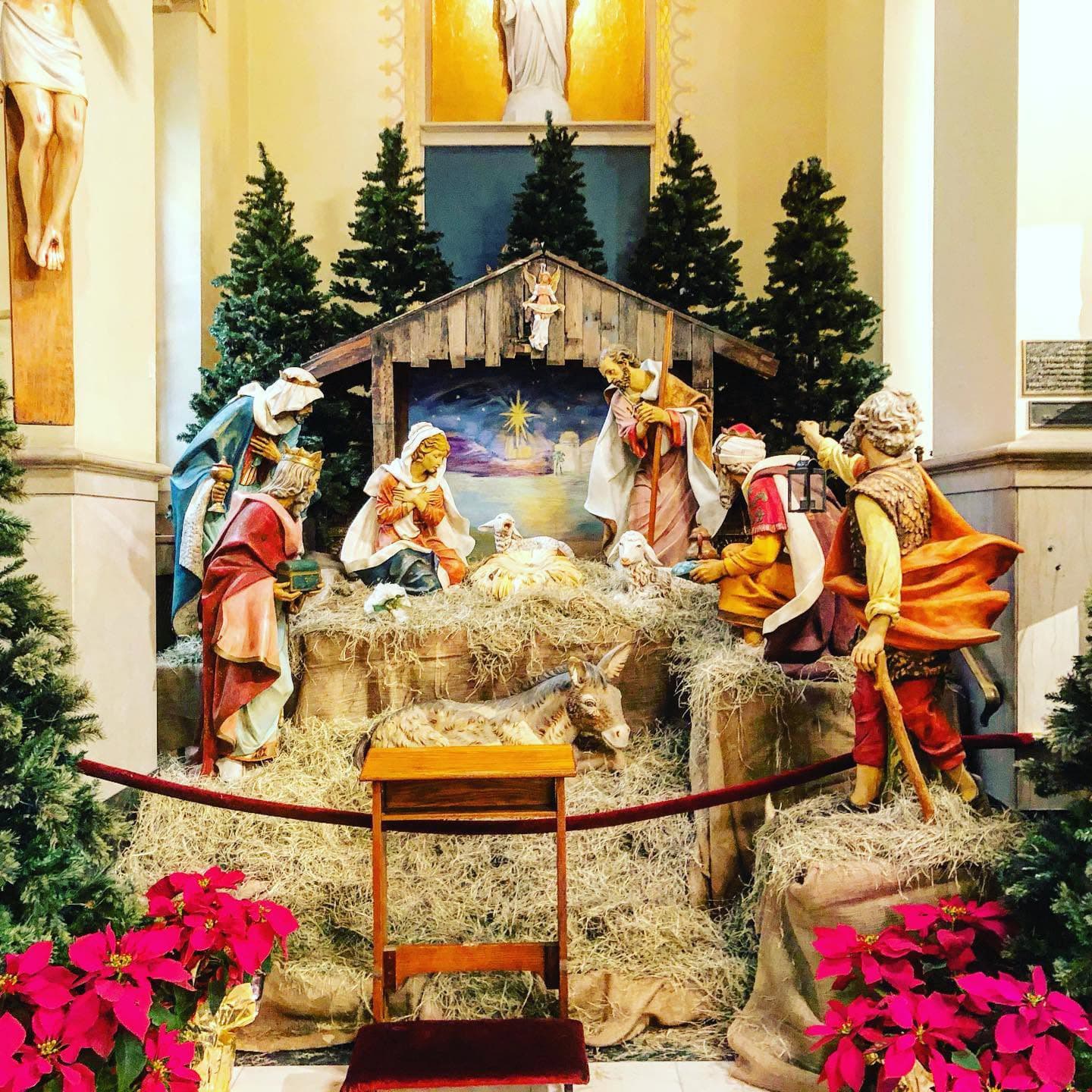 A nativity scene featuring figurines of Mary, Joseph, the baby Jesus, and visitors set among Christmas trees and poinsettias.