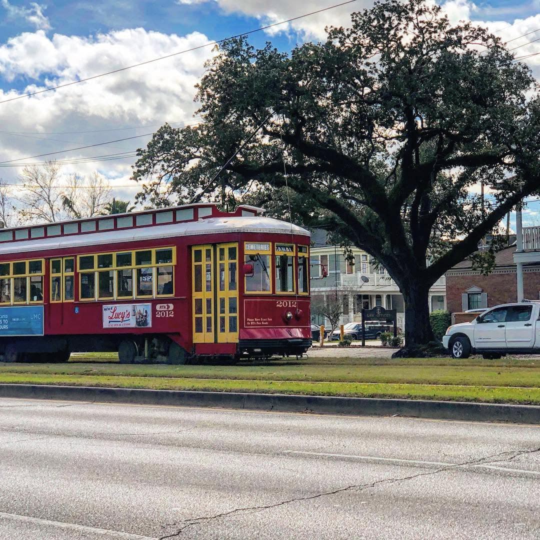 A red streetcar stops near a large tree and a grassy area beside the road.