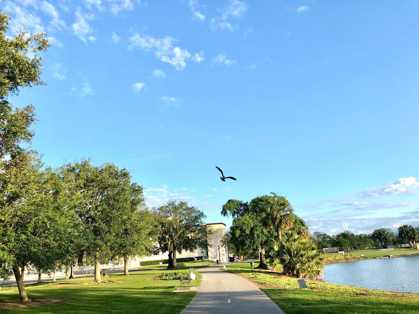 A bird flies over a pathway lined with greenery beside a calm lake under a blue sky.