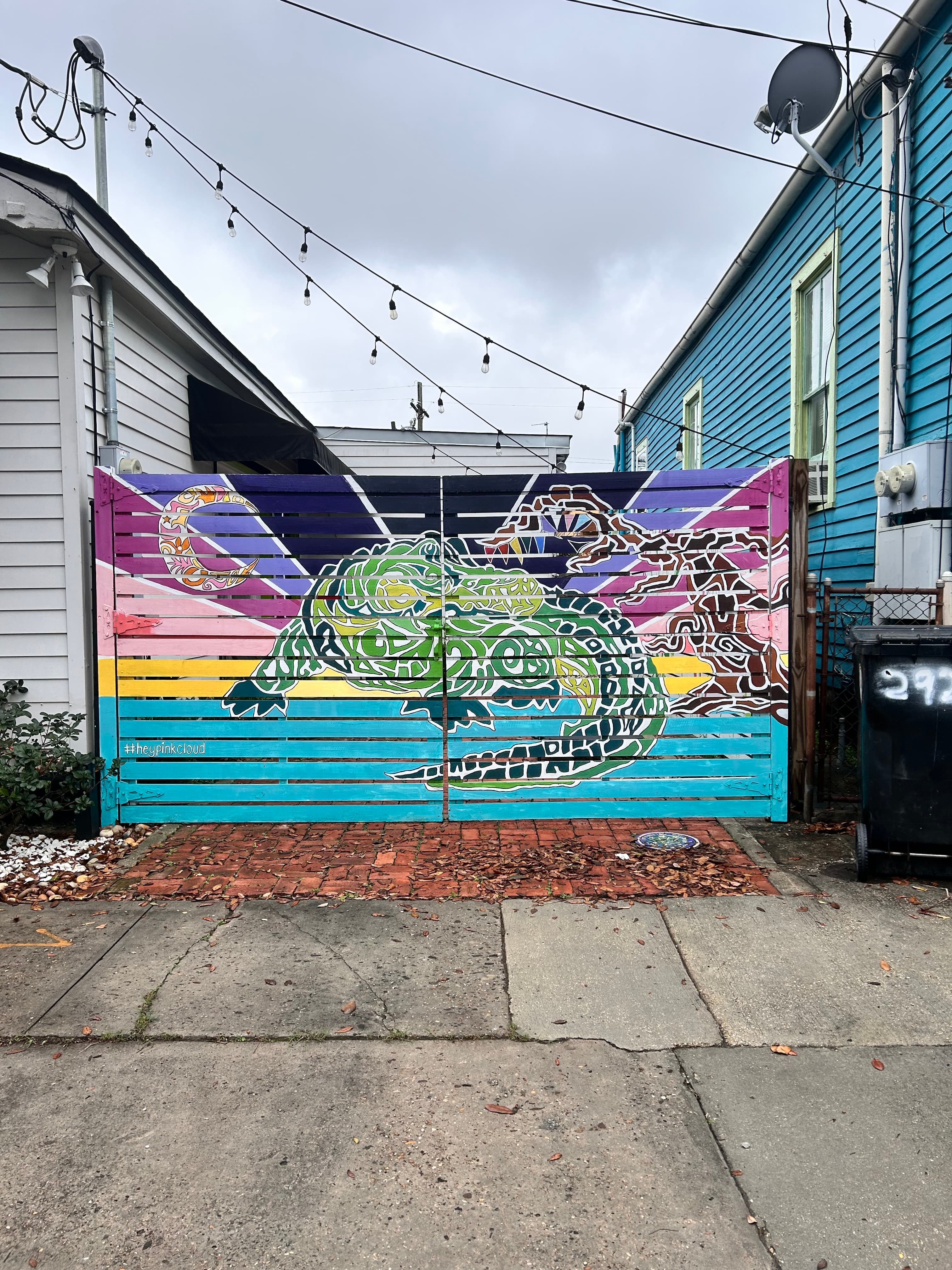 A colorful mural of a lizard and abstract patterns on a wooden gate.