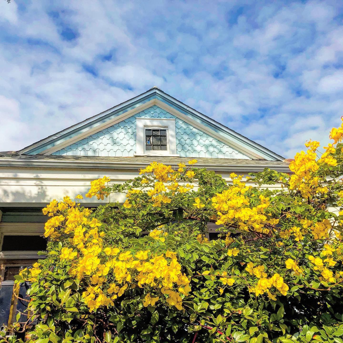 A charming house with a blue gabled roof is partially obscured by vibrant yellow flowers under a cloudy sky.
