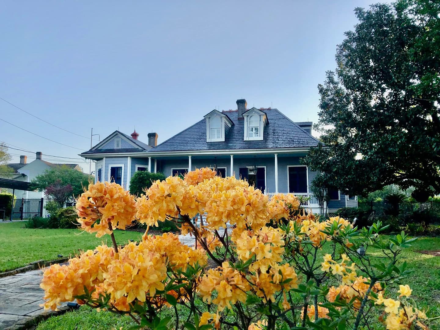A historic blue house with a slate roof surrounded by vibrant yellow flowers and lush greenery.