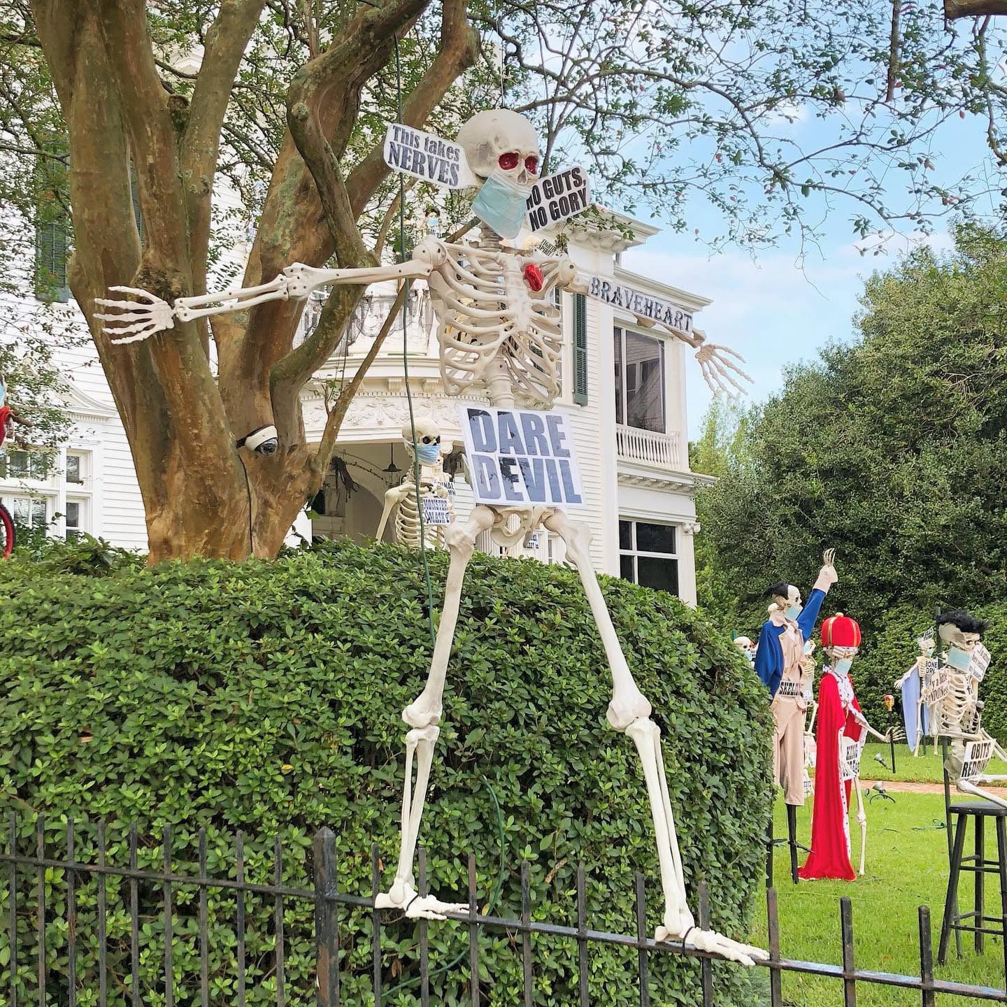 A skeleton wearing a mask stands in a yard, holding signs that read "Dare Devil" and "This Takes Nerves."