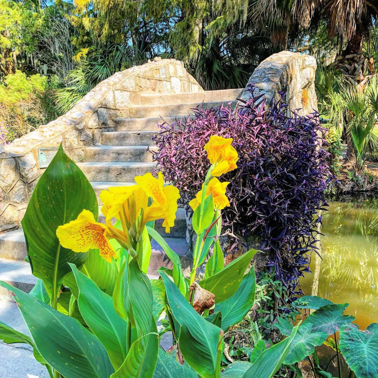 A stone bridge arches over a serene pond, framed by vibrant yellow flowers and lush greenery.